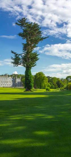 Manicured greens and fairways in County Clare near the Rine Hotel