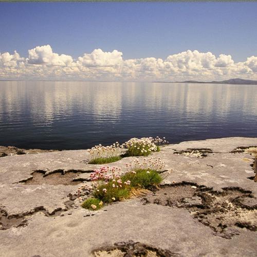 Burren 3