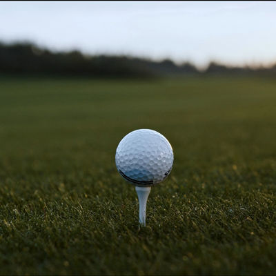 Golf Landing (1)