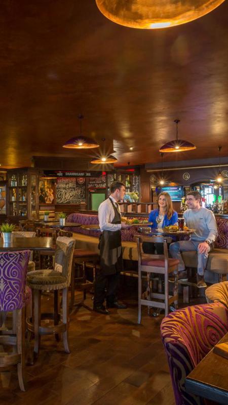 The Rine Hotel bar and lounge in Clare