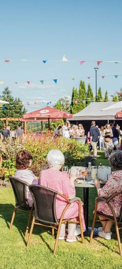 a lively outdoor summer BBQ event taking place on the lush green grounds of The Rine in County Clare, Ireland.